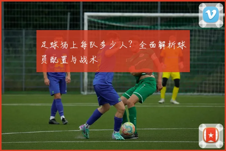 足球场上每队多少人？全面解析球员配置与战术